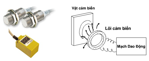 cảm ứng tiệm cận